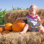 PumpkinPatchMaya01