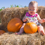 PumpkinPatchMaya02