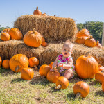 PumpkinPatchMaya04