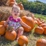 PumpkinPatchMaya05