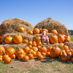 PumpkinPatchMaya07