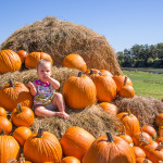 PumpkinPatchMaya08