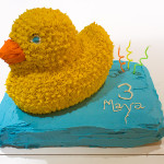 maya3duckiecake