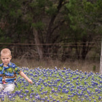 Bluebonnets18_01