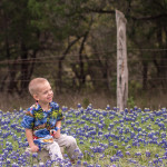 Bluebonnets18_12